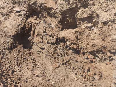 indagini geotecniche geologiche